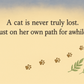 Cilla The Cat Who Came Back